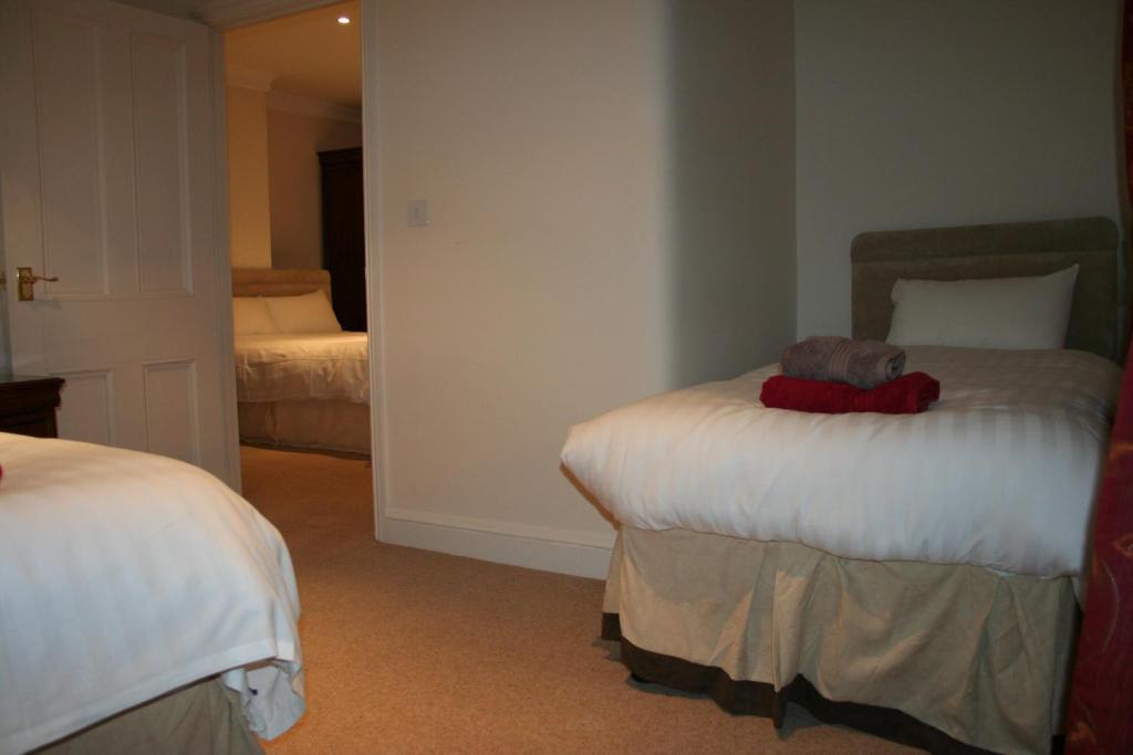 The Trewythen Hotel Llanidloes Luaran gambar